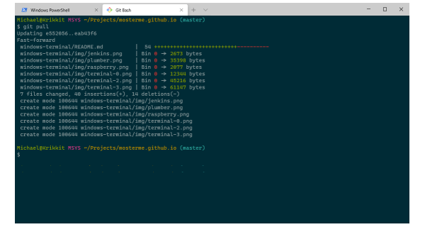 Git Bash
